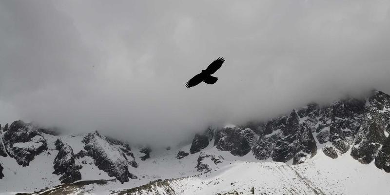 宁波力全42:深耕工业设备领域,以精密机械制造驱动产业升级