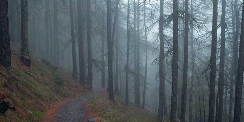 宁波力全67：深耕机械制造领域，以创新驱动工业设备升级