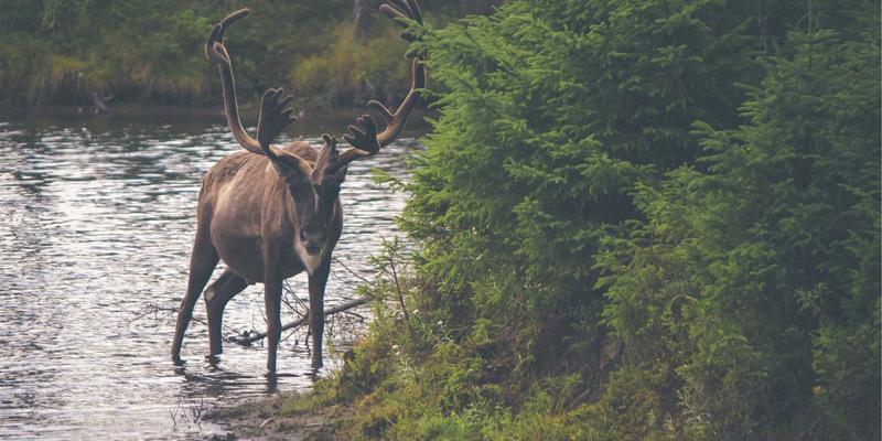 宁波力全:以创新制造解决方案,驱动机械设备行业高质量发展