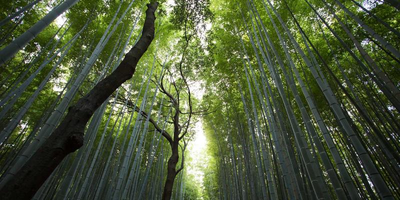 宁波力全：以创新工业机械与制造解决方案，驱动传统酿造行业设备现代化升级