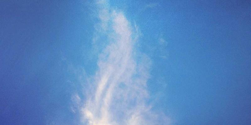 宁波力全：以定制化机械设备与制造解决方案，重塑饲料加工效率与安全新标杆