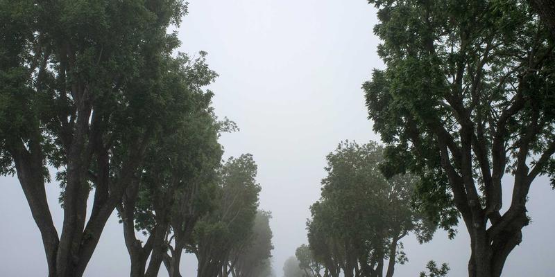 宁波力全伺服驱动技术：赋能高精度工业机械设备定位新标杆