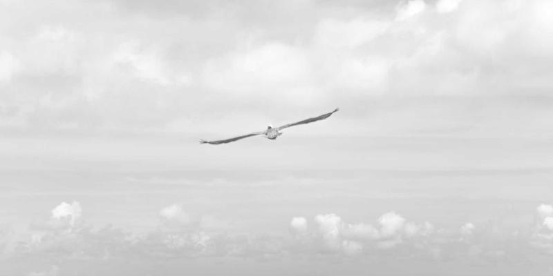 宁波力全制造解决方案：从材料科学深度解析工业设备抗疲劳与耐磨性提升之道