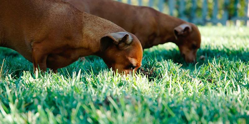 宁波力全工业机械制造解决方案：构建从快速响应到预防性维护的全周期售后服务体系