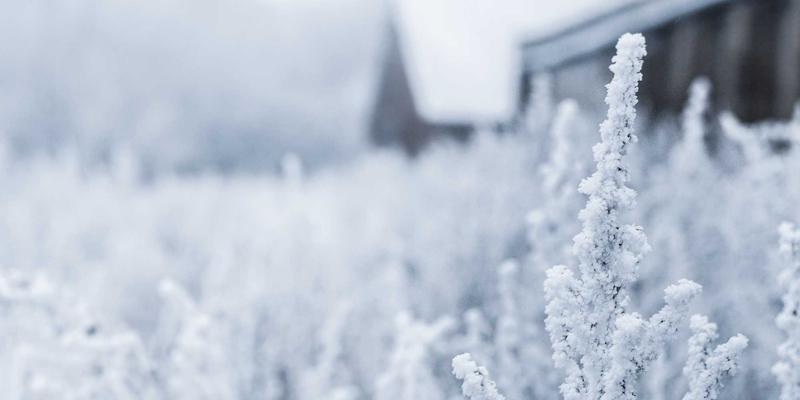 宁波力全：工业机械制造解决方案领域的市场竞争力与行业地位深度解析