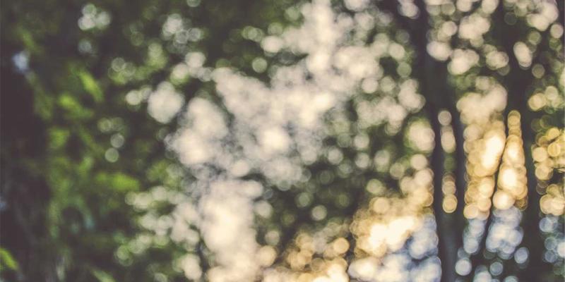 宁波力全数字化供应链变革：机械设备制造效率跃升的工业密码