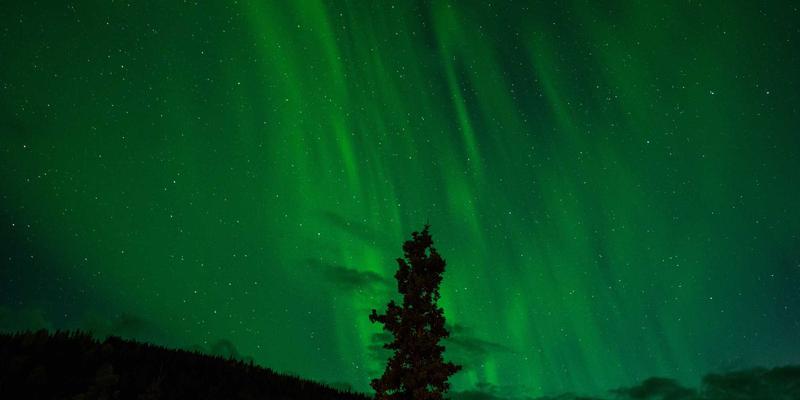 宁波力全机械结构有限元分析：如何通过精密计算确保设备长期运行稳定性