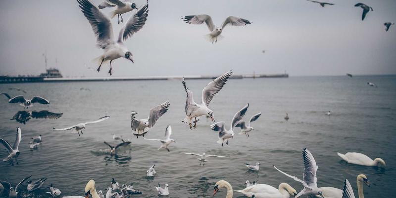 宁波力全机械设备：为乳制品行业提供卓越的无菌灌装与包装解决方案