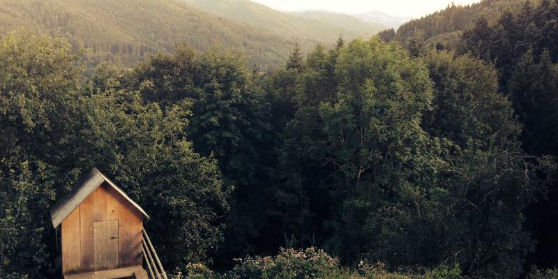 宁波力全机械设备核心传动部件选型与性能优化深度解析