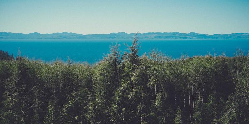 宁波力全：模块化设计如何重塑食品包装机械的灵活性与未来升级潜力